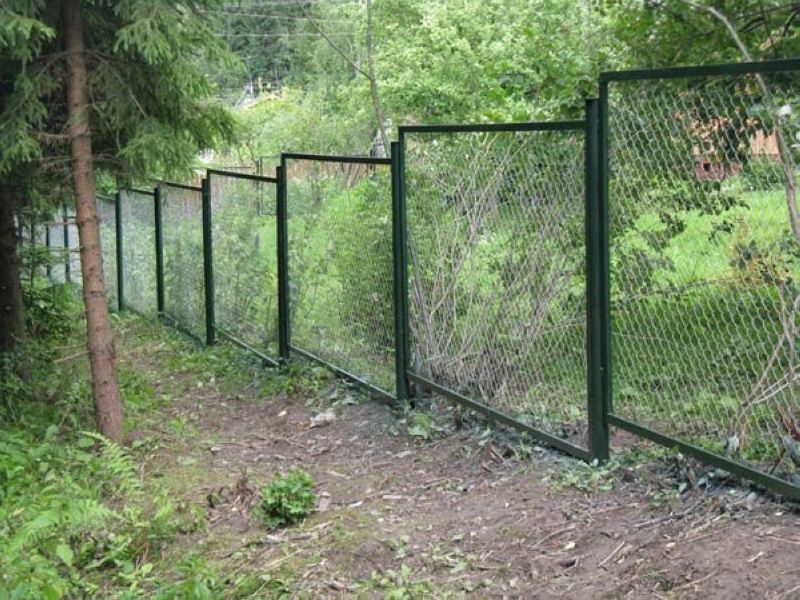 Секционный забор из сетки рабицы в парке