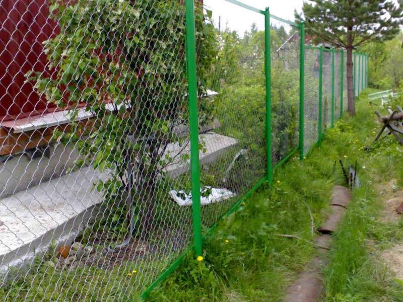 Забор из сетки рабицы зеленый для дачи