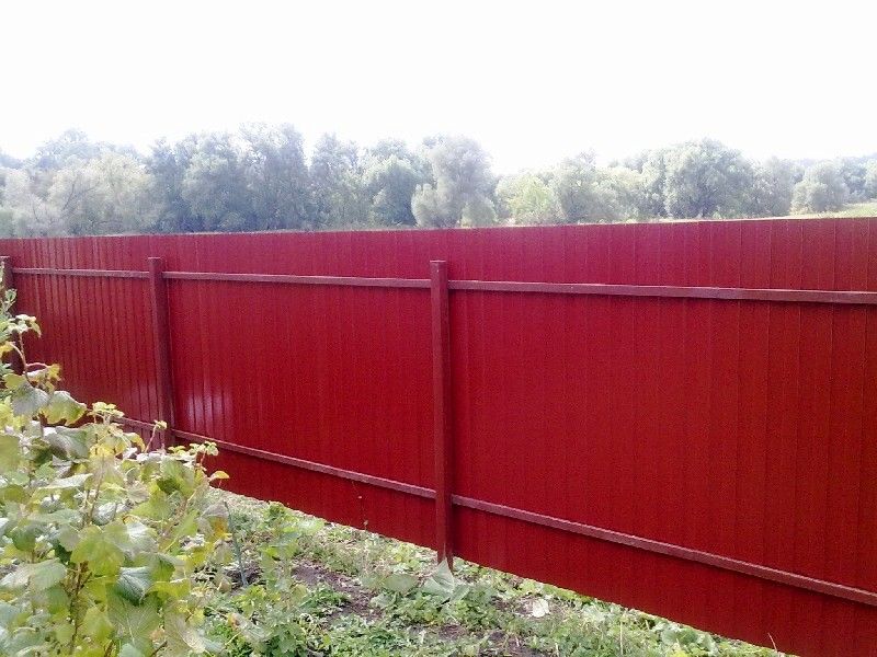 Дачный забор из красного профнастила